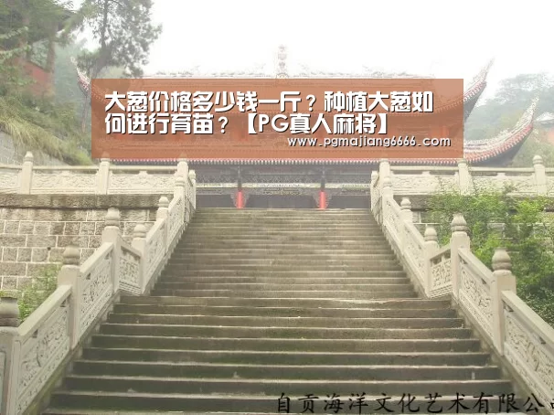 PG电子娱乐